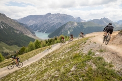 bike_estate