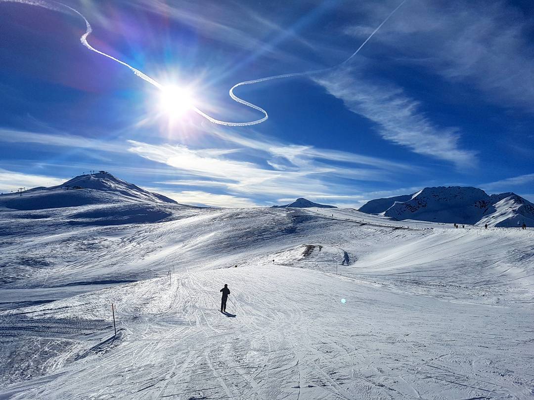 (c) Sitas.ski